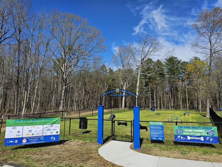 Dog Park Agility Course