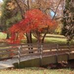 Walking Trail at Creekside Park